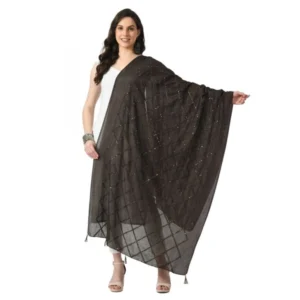 Generic Women's Chanderi Self Design Dupatta (Dark Browm, Length: Free Size)