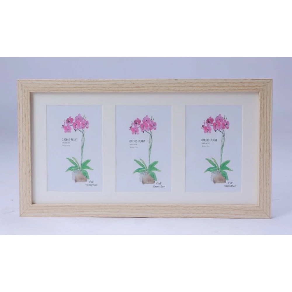 Generic Acrylic Cactus Image Frame (Multicolor) - Image 2